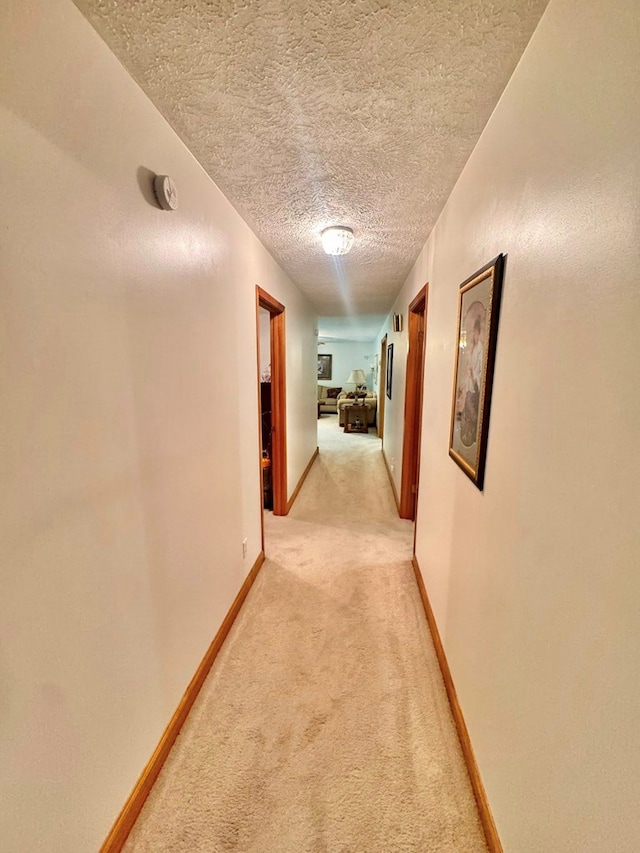 2989 Greenbrier Rd, Haysi, VA 24256 - hallway featuring light carpet and a textured ceiling