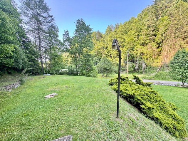 2989 Greenbrier Rd, Haysi, VA 24256 - view of green lawn with a forest view