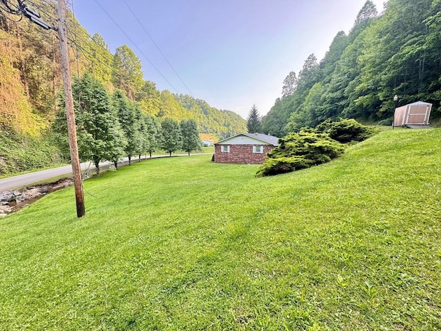 2989 Greenbrier Rd, Haysi, VA 24256 - view of green lawn with a shed and a view of trees