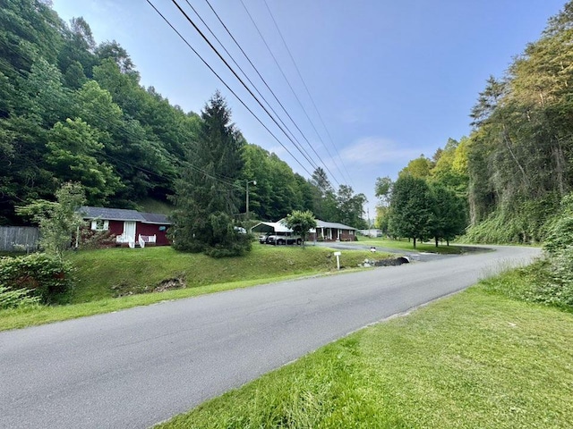2989 Greenbrier Rd, Haysi, VA 24256 - view of asphalt road