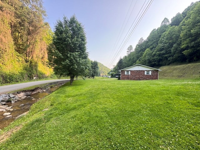 2989 Greenbrier Rd, Haysi, VA 24256 - view of green lawn