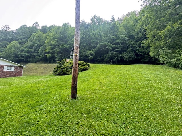 2989 Greenbrier Rd, Haysi, VA 24256 - view of grassy yard with a forest view