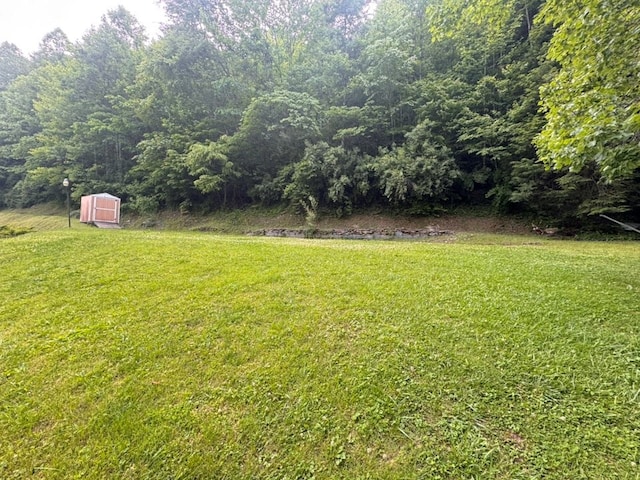 2989 Greenbrier Rd, Haysi, VA 24256 - view of green lawn featuring a storage shed and a forest view