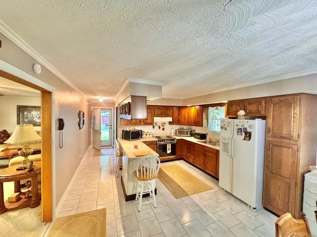 2989 Greenbrier Rd, Haysi, VA 24256 - kitchen featuring white refrigerator with ice dispenser, electric range, stainless steel microwave, healthy amount of natural light, and crown molding