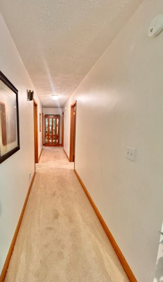 2989 Greenbrier Rd, Haysi, VA 24256 - hallway with light colored carpet and a textured ceiling