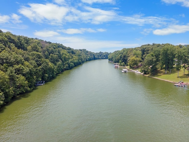 21468 Mandalay Ln, Abingdon, VA 24211 - water view with a heavily wooded area