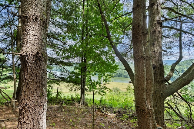 21468 Mandalay Ln, Abingdon, VA 24211 - view of undeveloped land featuring a large body of water
