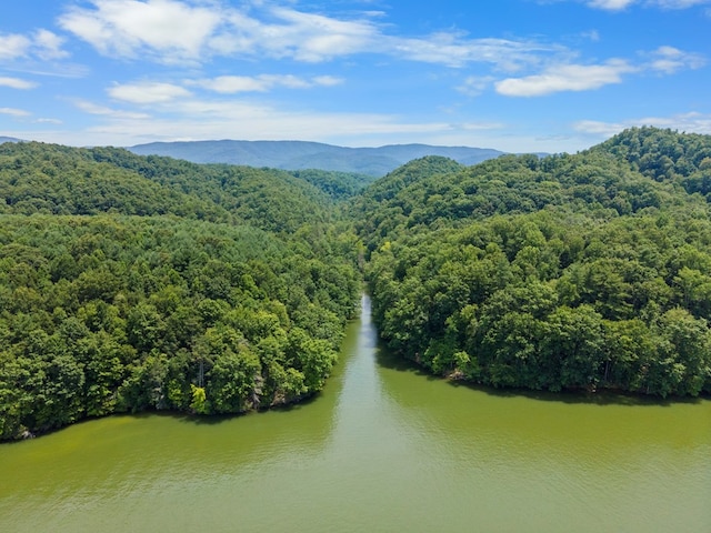 21468 Mandalay Ln, Abingdon, VA 24211 - bird's eye view of a mountain backdrop