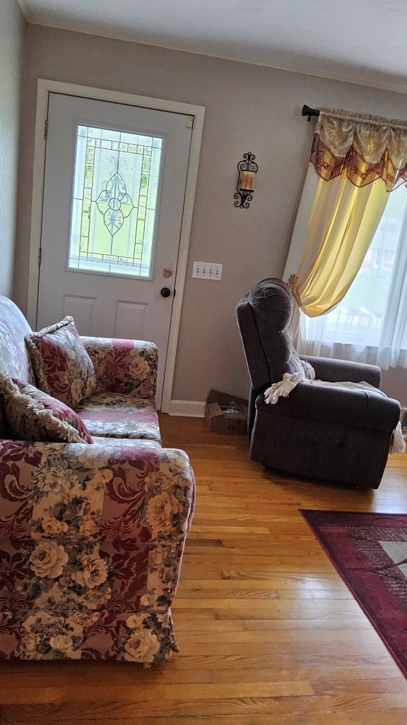 1359 Scratch Gravel Rd, Marion, VA 24354 - living room with light wood-style floors