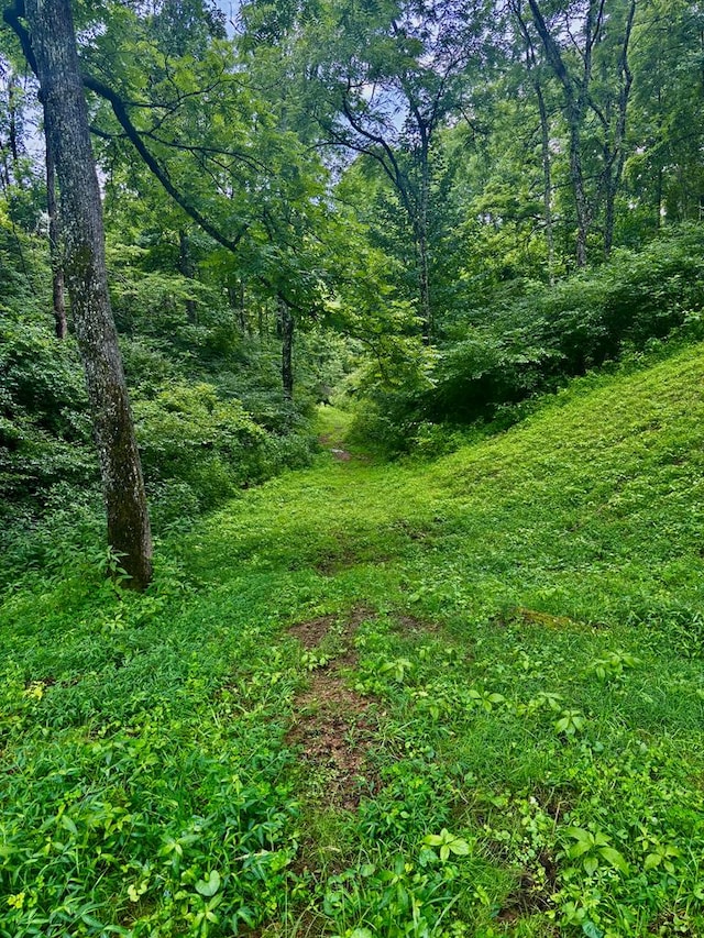 1533 Veterans Rd, Tannersville, VA 24377 - photo 18