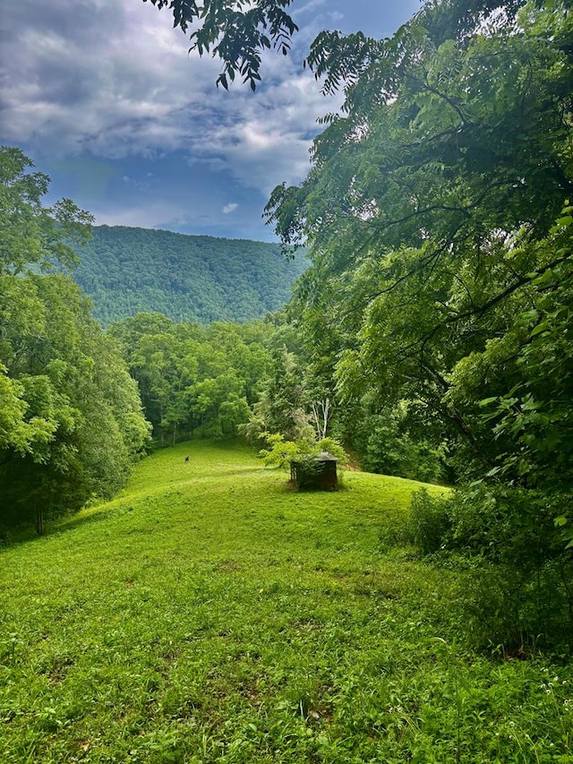 1533 Veterans Rd, Tannersville, VA 24377 - photo 15