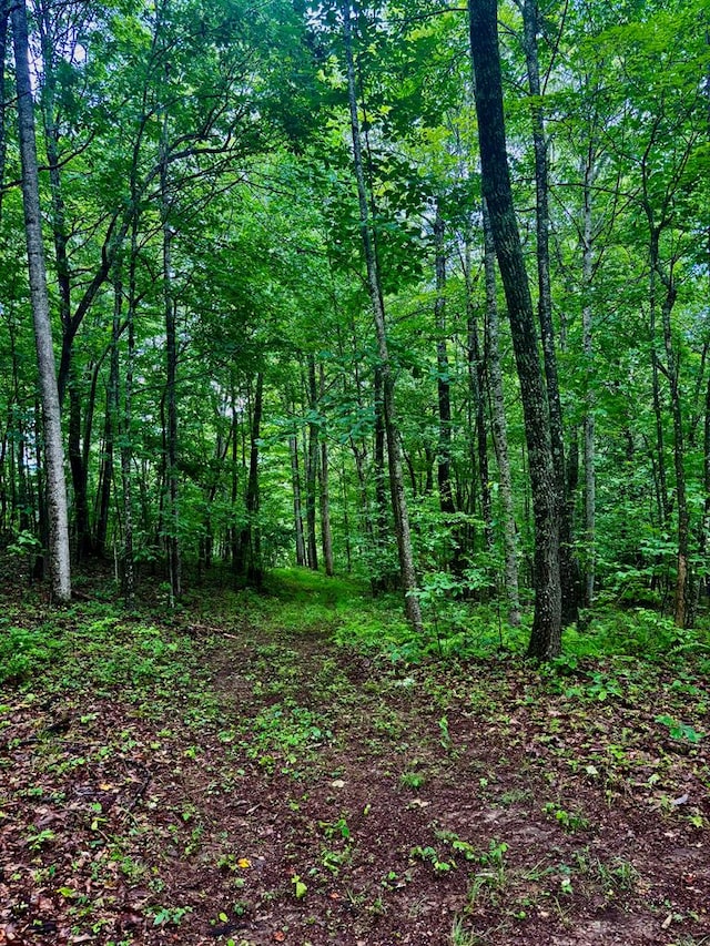 1533 Veterans Rd, Tannersville, VA 24377 - photo 9