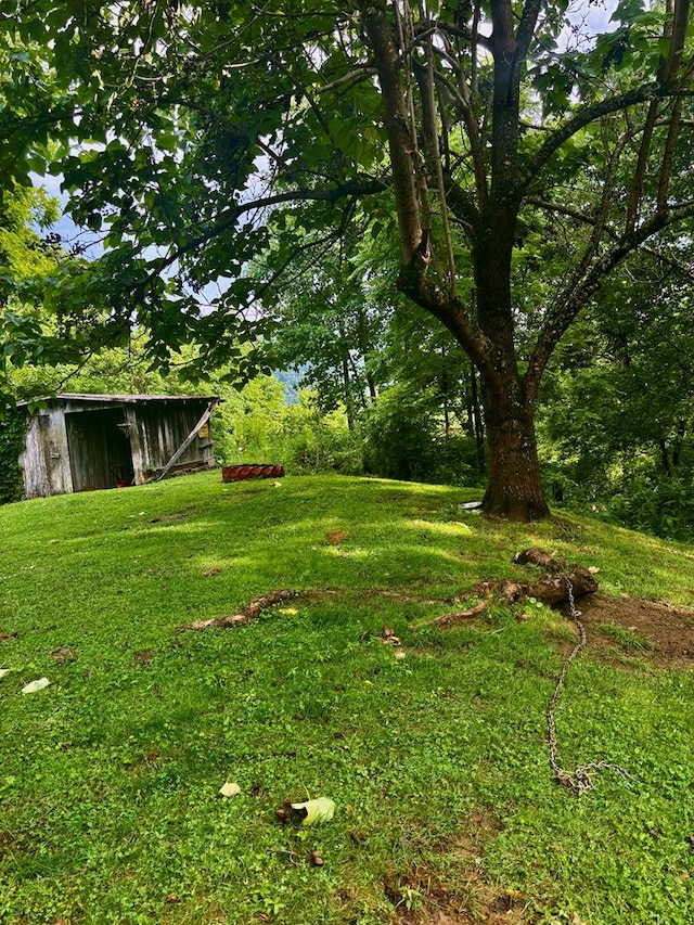 1533 Veterans Rd, Tannersville, VA 24377 - photo 22