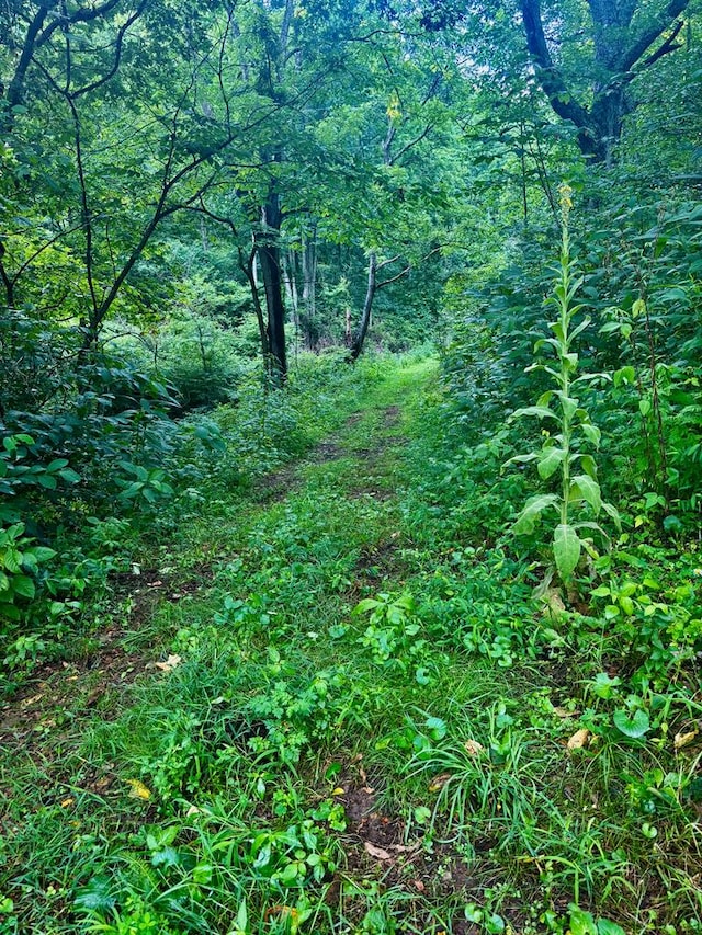 1533 Veterans Rd, Tannersville, VA 24377 - photo 17