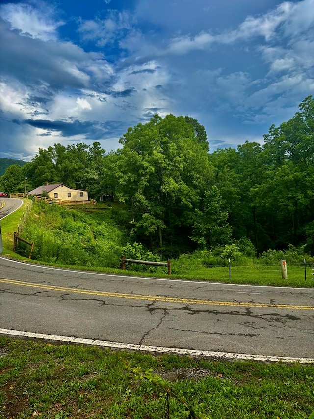 1533 Veterans Rd, Tannersville, VA 24377 - photo 12