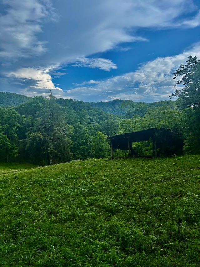 1533 Veterans Rd, Tannersville, VA 24377 - photo 16