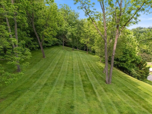 20118 Herron Cir, Abingdon, VA 24211 - photo 17