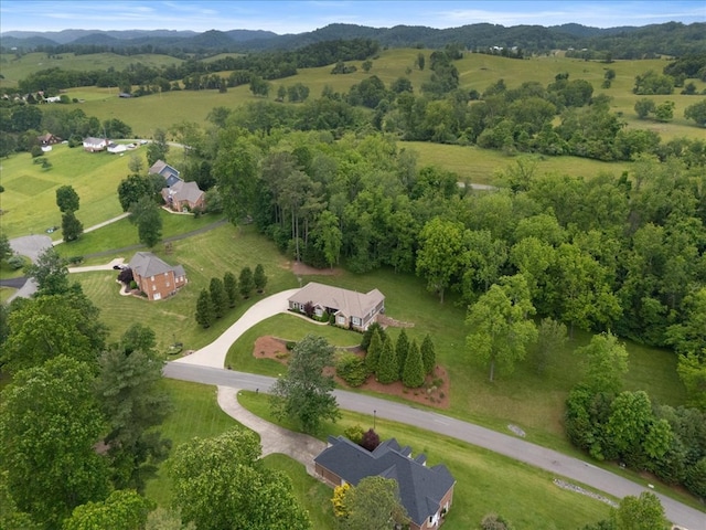 20118 Herron Cir, Abingdon, VA 24211 - photo 76