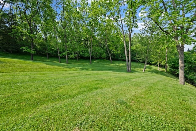 20118 Herron Cir, Abingdon, VA 24211 - photo 18