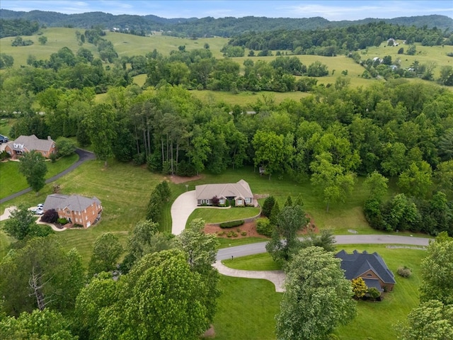 20118 Herron Cir, Abingdon, VA 24211 - photo 74