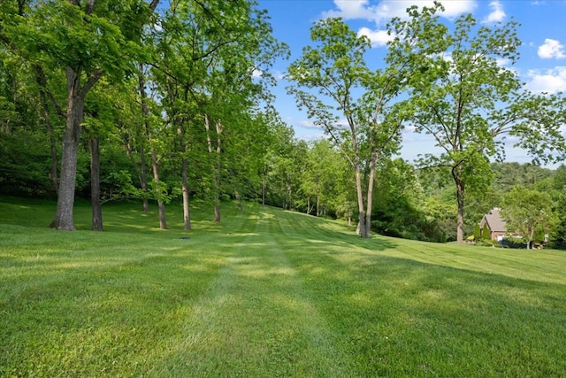 20118 Herron Cir, Abingdon, VA 24211 - photo 19
