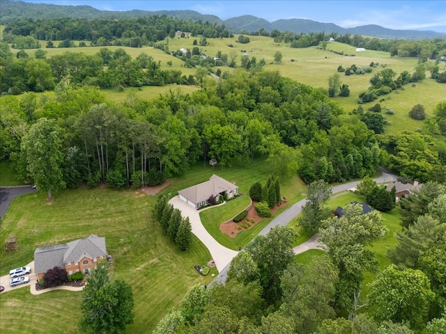 20118 Herron Cir, Abingdon, VA 24211 - photo 79