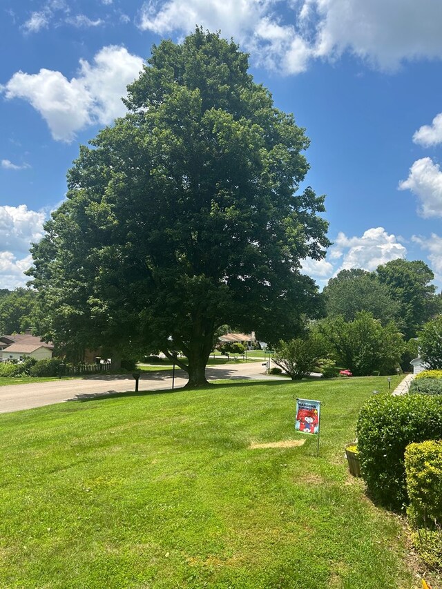 18335 Westwood Dr, Abingdon, VA 24211 - view of grassy yard