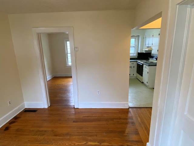 250 Staley St, Marion, VA 24354 - hallway with wood finished floors and baseboards
