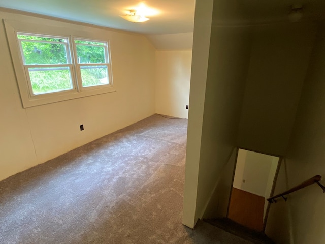 250 Staley St, Marion, VA 24354 - bonus room with carpet and vaulted ceiling