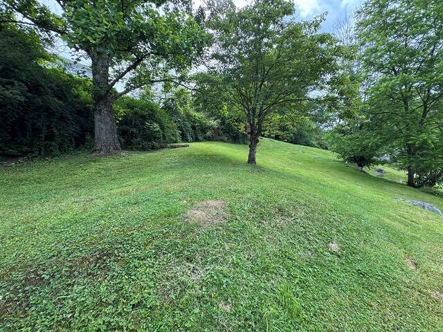 158 Clinchview St, North Tazewell, VA 24630 - photo 8