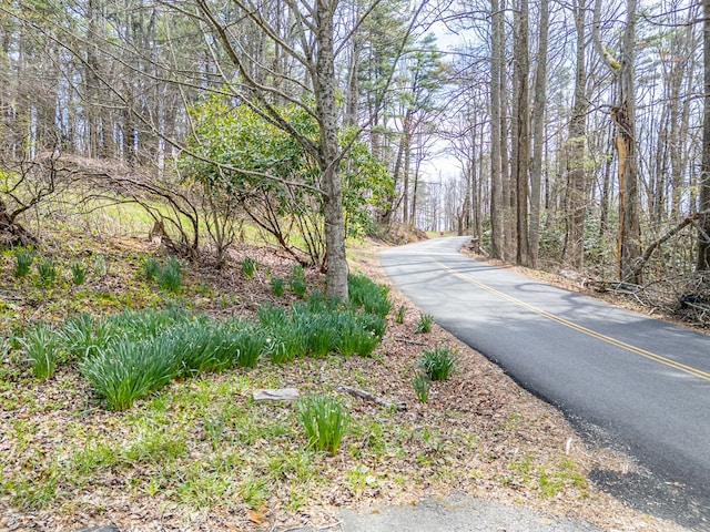 199 Ranger Rd, Fancy Gap, VA 24328 - view of asphalt road featuring a wooded view