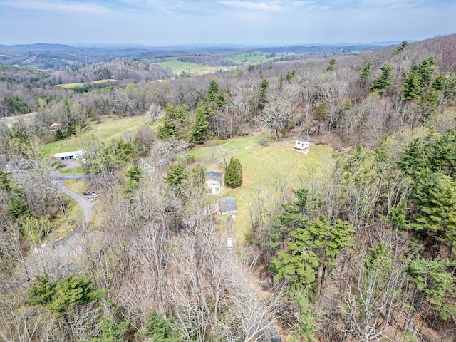 199 Ranger Rd, Fancy Gap, VA 24328 - aerial view of property's location