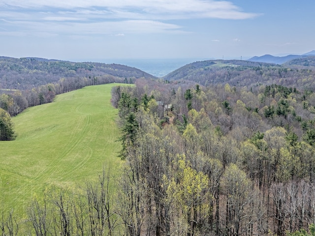 199 Ranger Rd, Fancy Gap, VA 24328 - view of mountain background