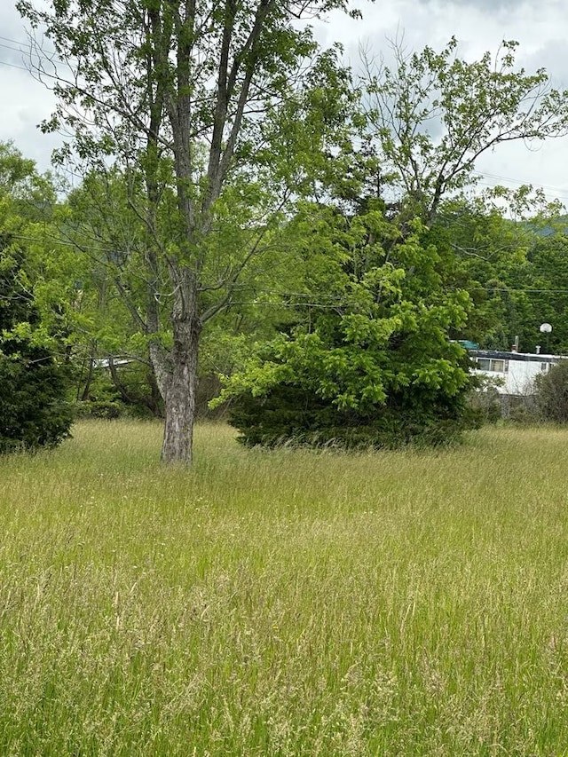 148 Rockspray Dr, Wytheville, VA 24382 - view of yard with a wooded view