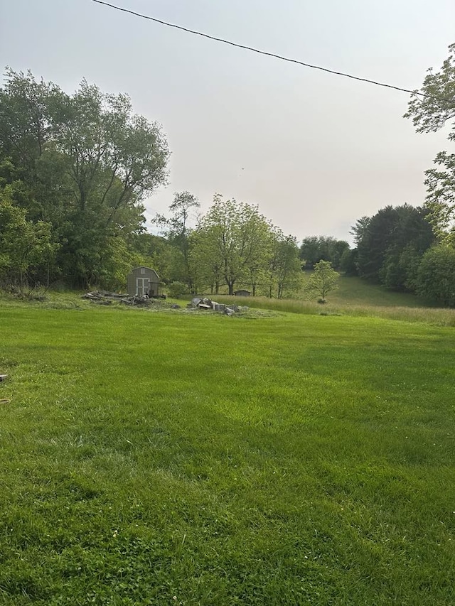 148 Rockspray Dr, Wytheville, VA 24382 - view of green lawn with a shed