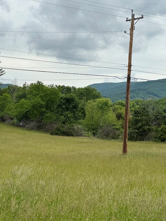148 Rockspray Dr, Wytheville, VA 24382 - view of yard featuring a mountain view