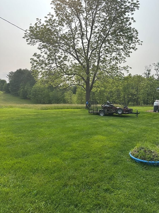 148 Rockspray Dr, Wytheville, VA 24382 - view of green lawn