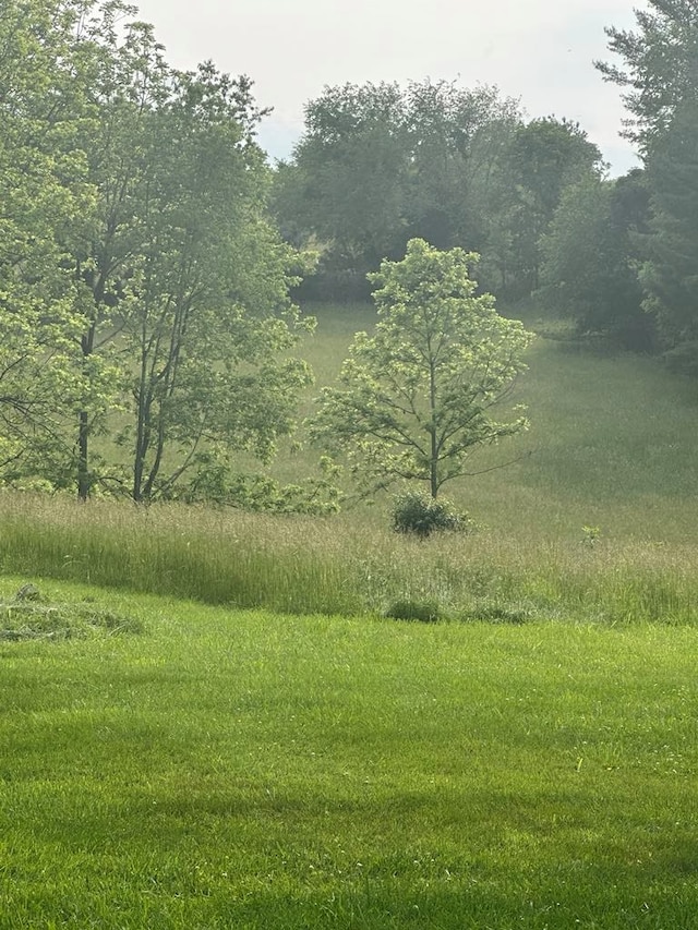 148 Rockspray Dr, Wytheville, VA 24382 - view of yard