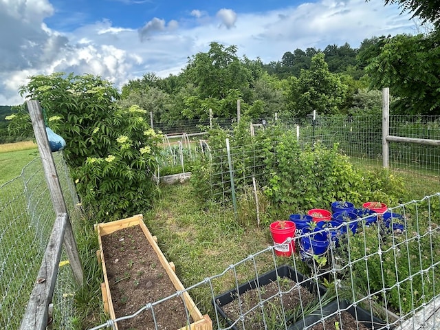 3950 Boyd Rd, Draper, VA 24324 - view of yard with a garden