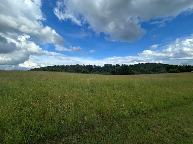 3950 Boyd Rd, Draper, VA 24324 - view of undeveloped land featuring rural landscape