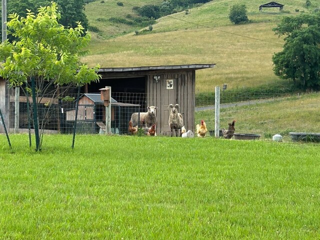 3950 Boyd Rd, Draper, VA 24324 - view of poultry coop