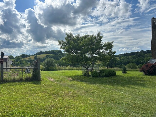 3950 Boyd Rd, Draper, VA 24324 - view of green lawn