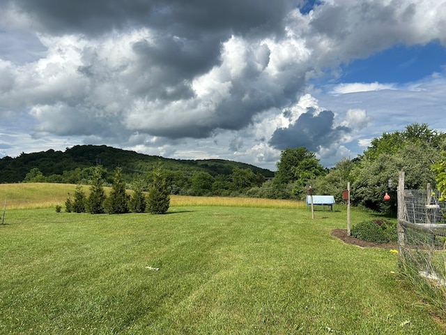 3950 Boyd Rd, Draper, VA 24324 - view of grassy yard