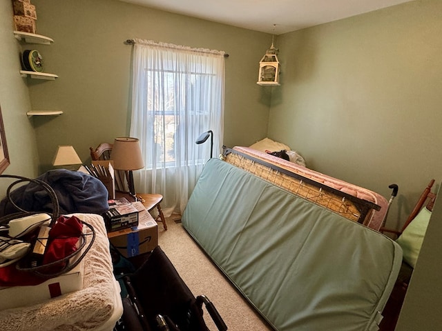bedroom with carpet floors