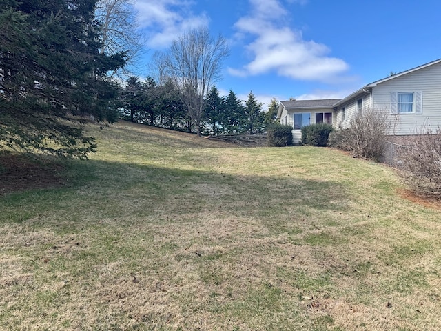view of yard