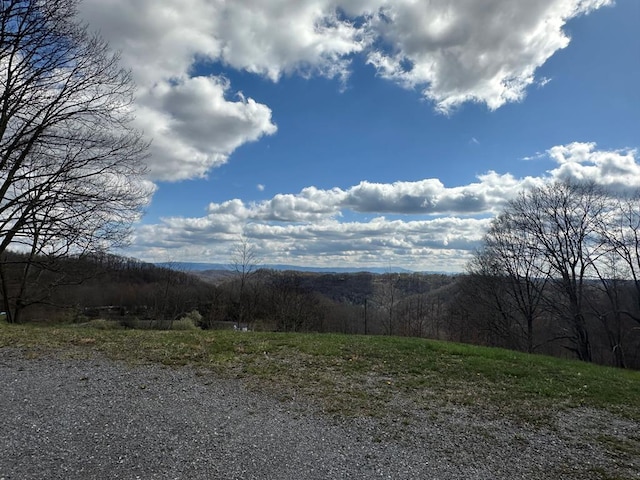 4860 Greasy Creek Rd, Bandy, VA 24602 - view of mountain background