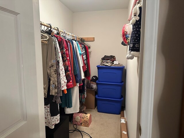 4860 Greasy Creek Rd, Bandy, VA 24602 - walk in closet featuring carpet