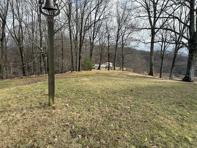 4860 Greasy Creek Rd, Bandy, VA 24602 - view of green lawn