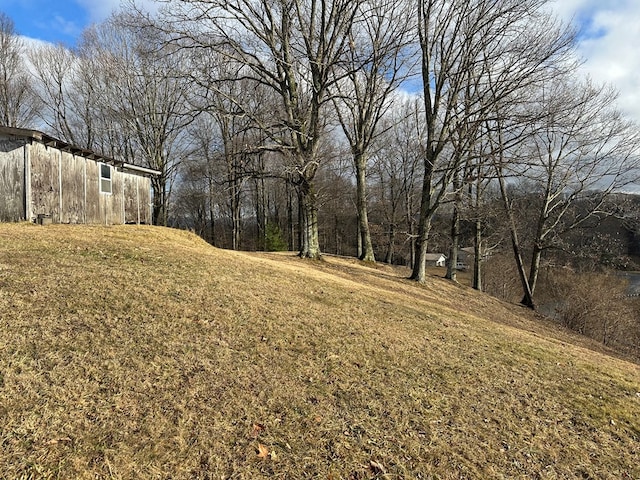 4860 Greasy Creek Rd, Bandy, VA 24602 - view of grassy yard