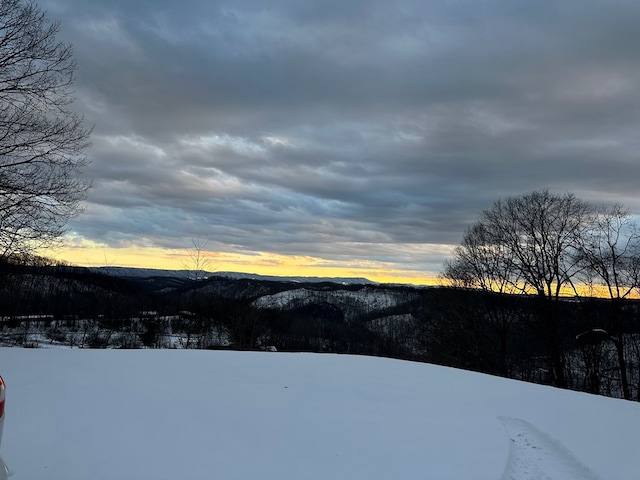 4860 Greasy Creek Rd, Bandy, VA 24602 - view of yard